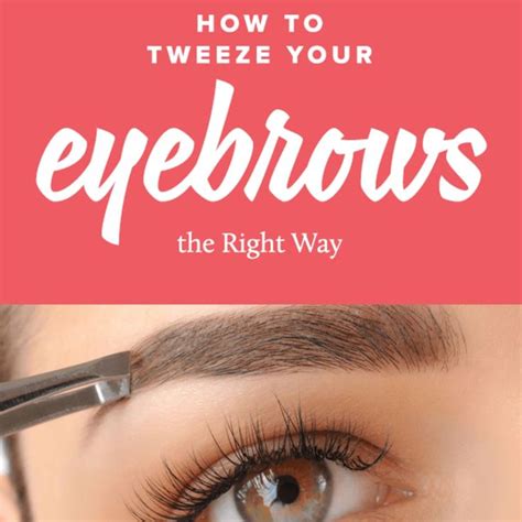 how to shape your eyebrows by l oréal best eyebrow makeup best eyebrow products