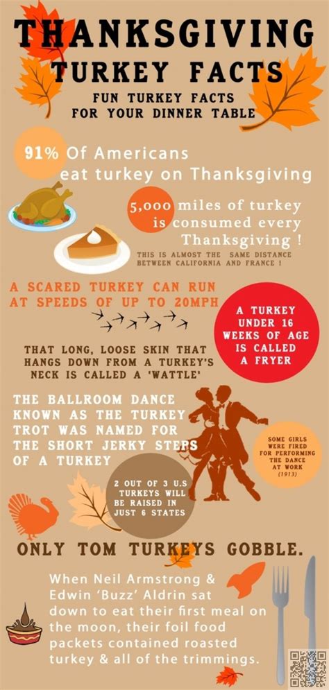 Create The Perfect Meal With These Thanksgiving Dinner Infographics