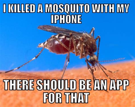 I Hate Mosquitos Natural Mosquito Repellant Mosquito Repellent Mosquito Repellent Homemade