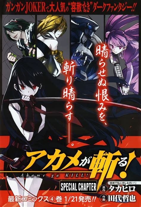 Pin By Berensaat On Character Design 5 Akame Ga Akame Ga Kill Anime