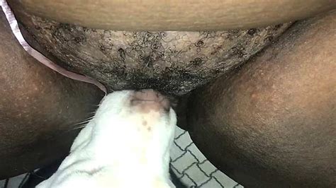 My Dog Licks Me Out While I Fuck Myself With A Hammer Xxx Femefun