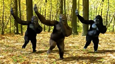 Gorilla Dance Youtube