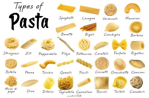 Noodles and pasta have high complex carbohydrates so they release energy over a period of time instead of a sudden boost. 32 Different Types of Pasta with Pictures