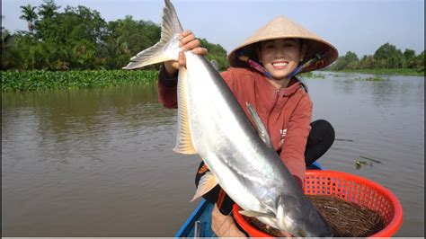 50 Thôn Nữ Thu Phục Cá Tra Khủng Sông Cái Bé Fishing Youtube