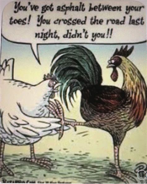 Cartoons Image By Maryannvarney Chicken Humor Chicken Jokes Chickens