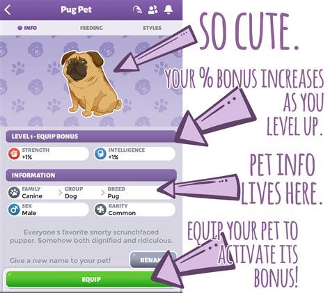 New Feature Brand New Pets Pimd Forum