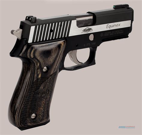 Sig Sauer 220 Equinox Pistol For Sale At 984659110