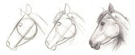 Dessiner un chat facilement 7 dessiner un chat kawaii sur un oreiller japonais methode facile. Apprendre à dessiner formes | Tete de cheval dessin, Comment apprendre a dessiner, Dessin cheval ...