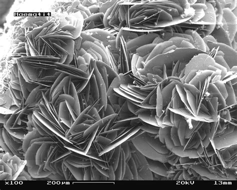 Scanning Electron Microscopes Will Blow Your Mind The
