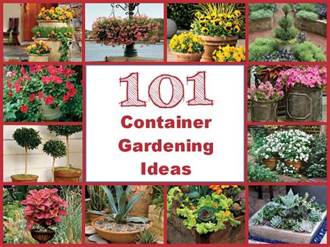 101 Container Gardening Ideas