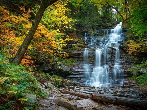 Cascading Waterfall In Fall River Forest Yellow Leaves