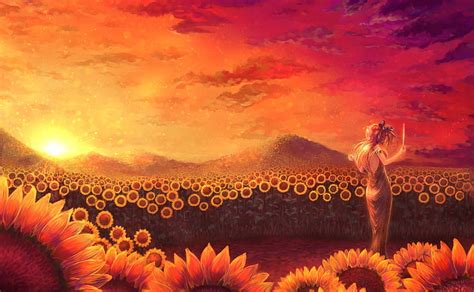 Hd Wallpaper Anime Girl Conductor Sunflowers Dress Sunset Scenic