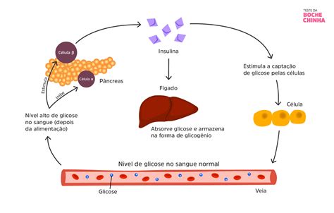 Diabetes Mellitus Neonatal Teste Da Bochechinha