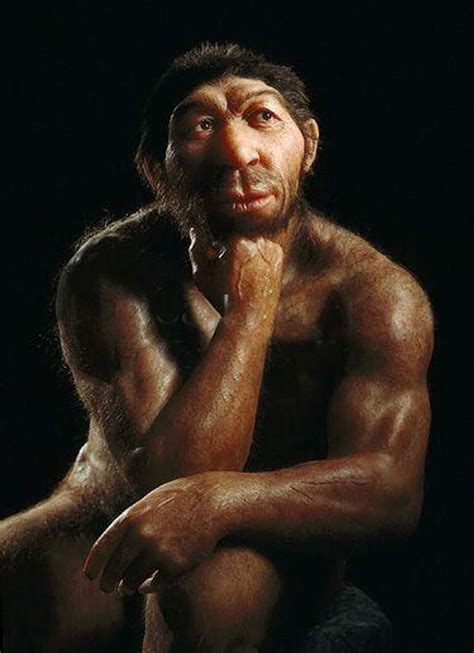 what was neanderthal sex like