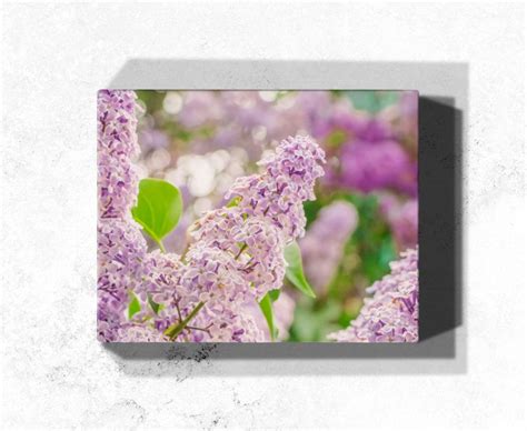 Ultraviolet Lilacs Flower Photography Print On Gallery Wrapped Canvas