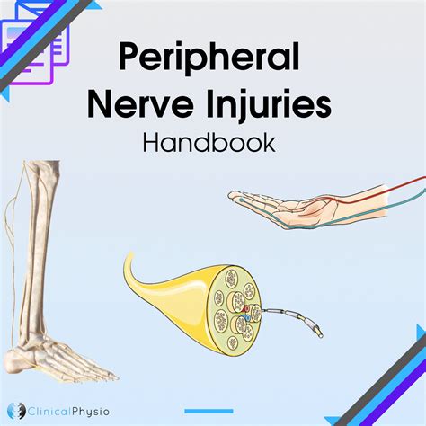 Peripheral Nerve Injuries Handbook Clinical Physio