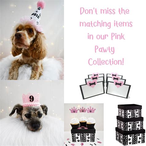Paw Print Favor Boxes For Dog Birthday Party Pink Set Of 6 Etsy Dog