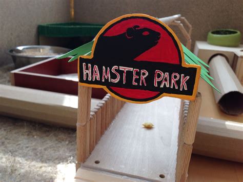 Hamster Toys Diy Easy