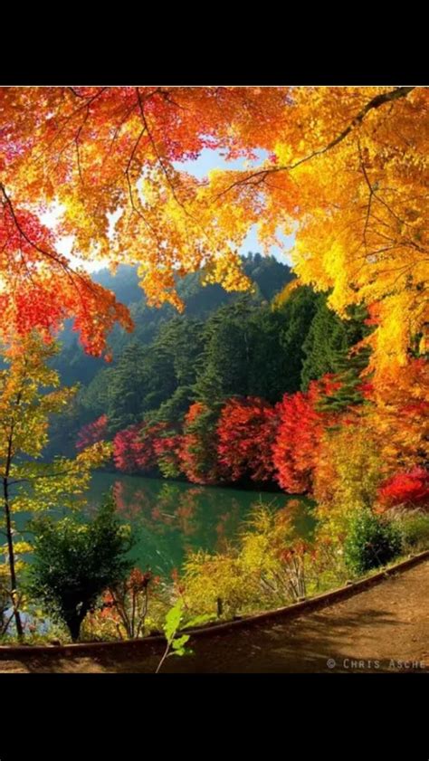 The Beauty Of Autumnso Colorful And Gorgeous Autumn Scenery Fall