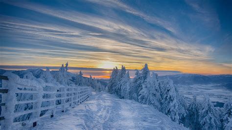 Sunset In Winter Forest Poiana Brasov Ski Resort Romania
