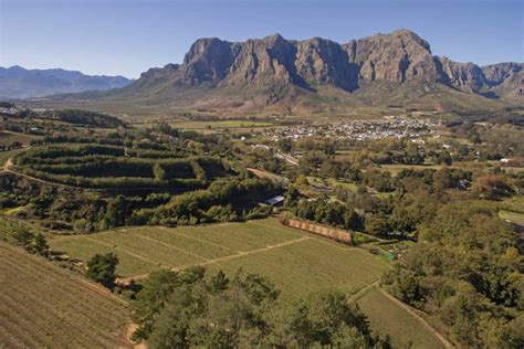 Cape Town Winelands Full Day Tour Getyourguide