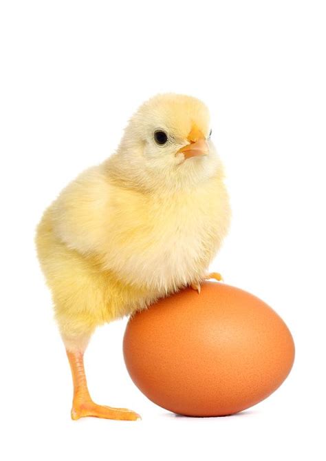 Overcoming The Chicken And Egg Problem