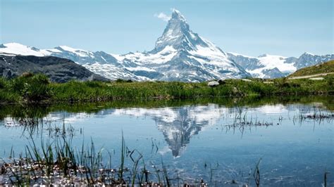 The Matterhorn Reflected In The Stellisee Backiee