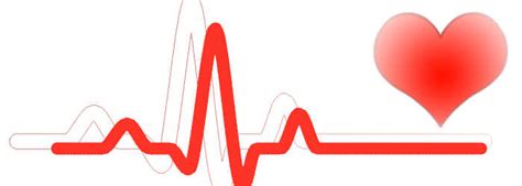 Puls und Herzrhythmus Einfach erklärt Gesundheits Wiki