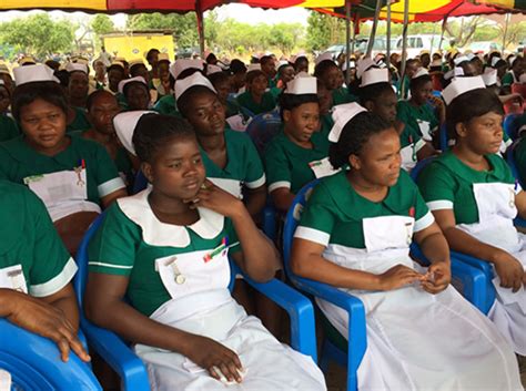 A Total Of 20084 Nurses Will Be Recruited This Year Minister