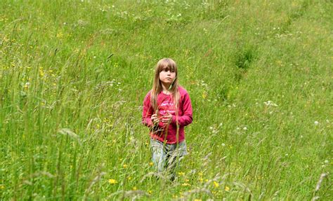 картинки природа трава гулять пешком растение девушка поле