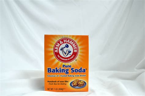 Arm And Hammer Pure Baking Soda 1 Lb Earth Wise General Store