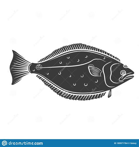 Halibut Fish Vector Illustration Isolated On White