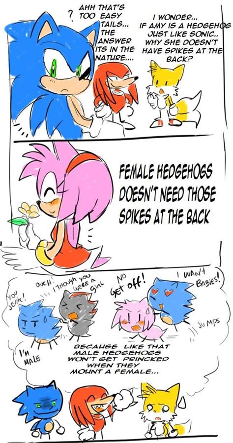 Sonic Funny Sonic Sonamy Comics
