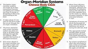 The Chinese Clock Does Not Make Mistakes Discover Which Organ In Your