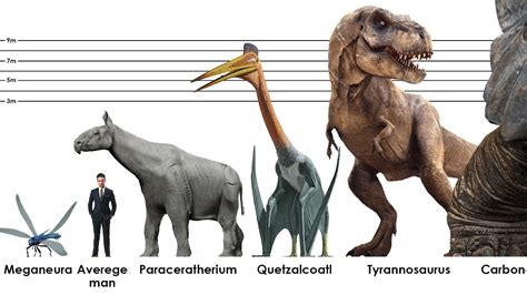 Top 107 Prehistoric Animals Size Comparison