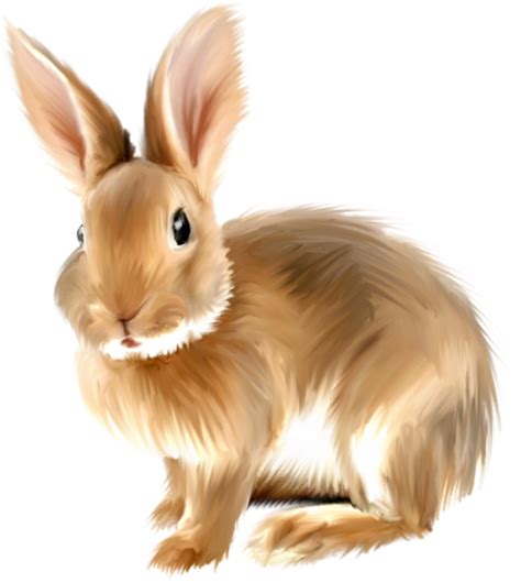 Painted Bunny Clipartpng Gallery Yopriceville High