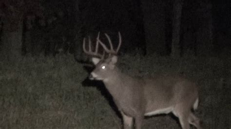Spotting Deer Whitetail Bucks 2013 Pennsylvania Youtube