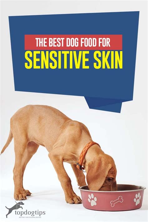 The Best Dog Food For Sensitive Skin 2020 Review And Buying Guide