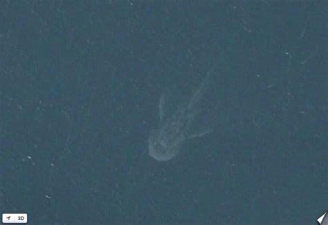 Another image of a sea monster caught by google earth is of a giant nessie which has a long dinosaur like neck with lumps in their body. Google Earth's weirdest finds from 'Crabzilla' to 'Loch ...