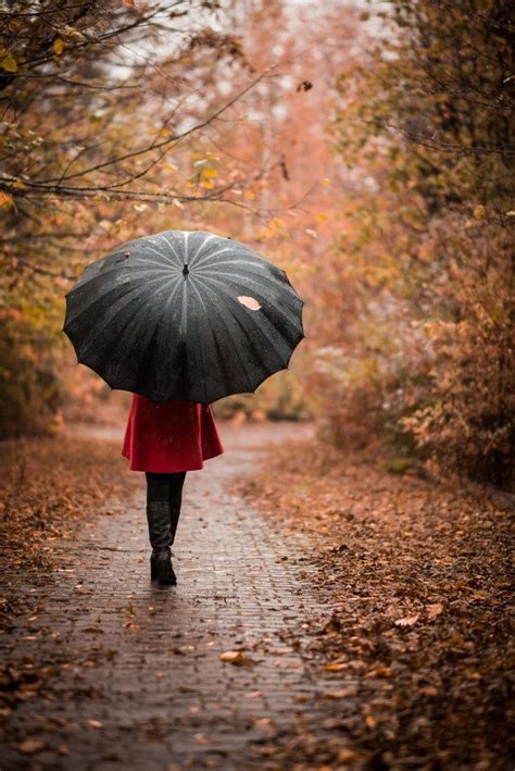 Young Woman With Umbrella In The Autumn Park Woman With Umbrella