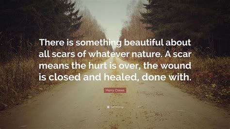 Harry Crews Quote “there Is Something Beautiful About All Scars Of