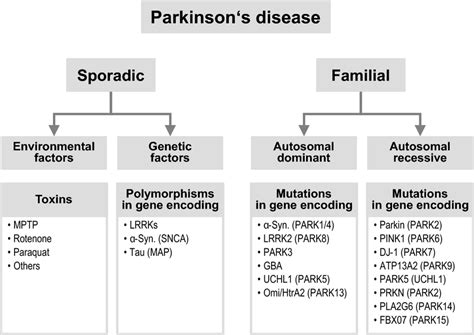 Etiology Of Pd Sporadic Pd Is A Complex Multifactorial Disorder With