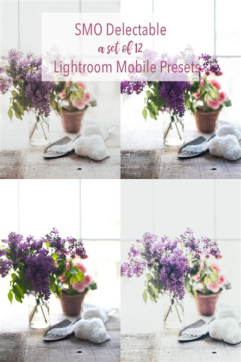 Free lr presets for babies. SMO Delectable LR Presets for Mobile