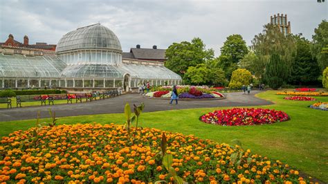 Belfast Botanic Gardens Fight Fasci Garden