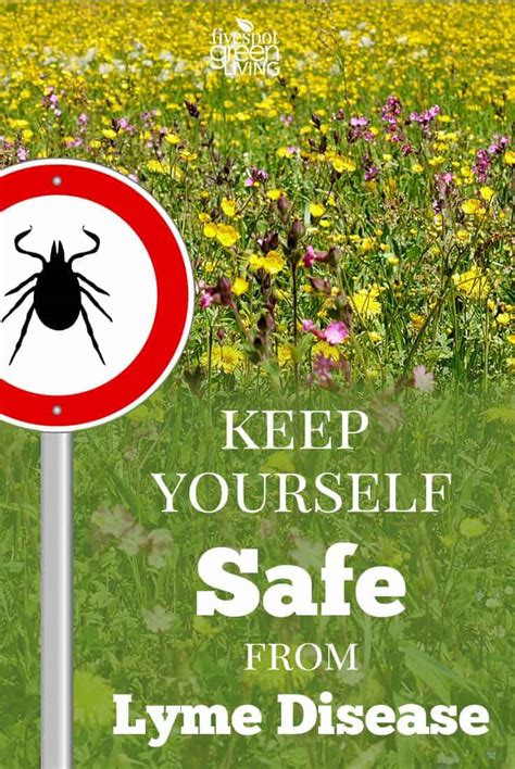 How To Keep Yourself Safe From Lyme Disease Five Spot Green Living