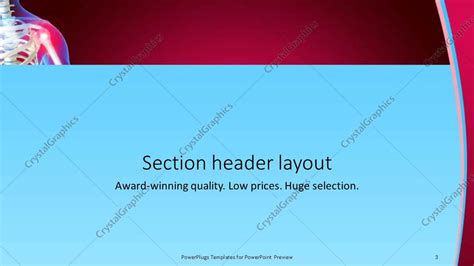 Powerpoint Template Skeleton Showing The Anatomy Of Shoulder Red