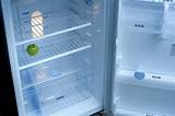 Photos of How To Disinfect Refrigerator