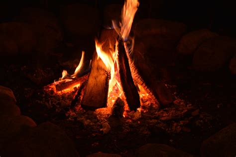 Camp Fire Free Stock Photo - Public Domain Pictures
