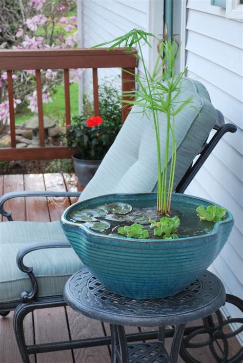 71 Best Container Ponds For Water Gardening In Small
