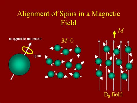 Alignment Of Spins In A Magnetic Field